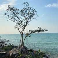 #หาดทรายแก้วสัตหีบ #ที่เที่ยวชลบุรี #บลูซีสัตหีบ 