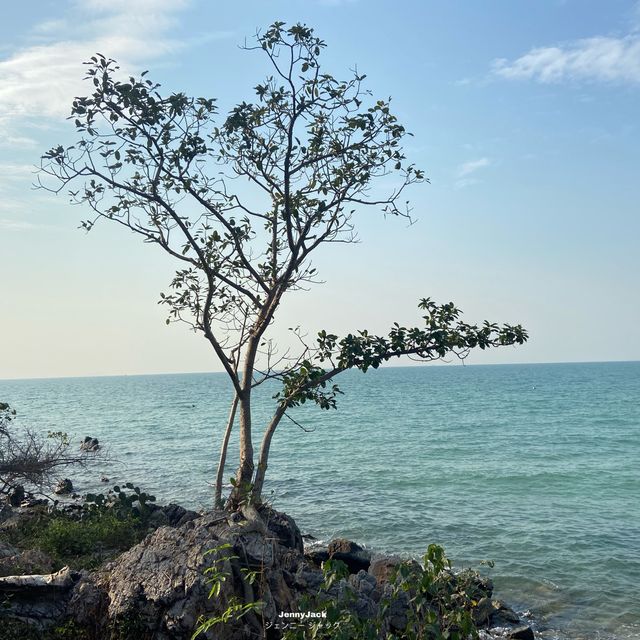 #หาดทรายแก้วสัตหีบ #ที่เที่ยวชลบุรี #บลูซีสัตหีบ 