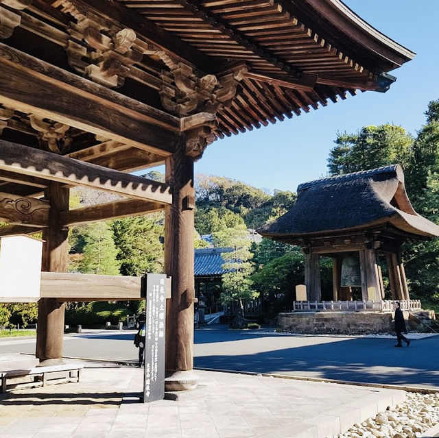 Temple with history