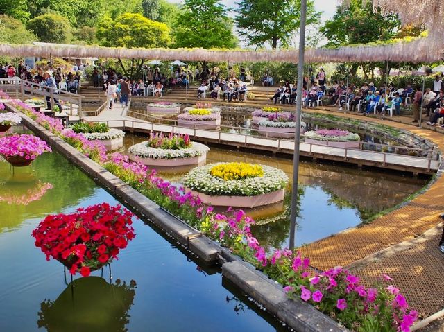 Ashikaga Flower Park 