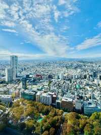 Tokyo Metropolitan Government Building 