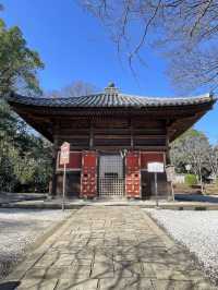 【喜多院/埼玉県】徳川家ゆかりの寺院で少し早い桜詣