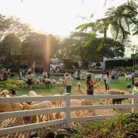 The Scenery Vintage Farm 🌳🌤️ 