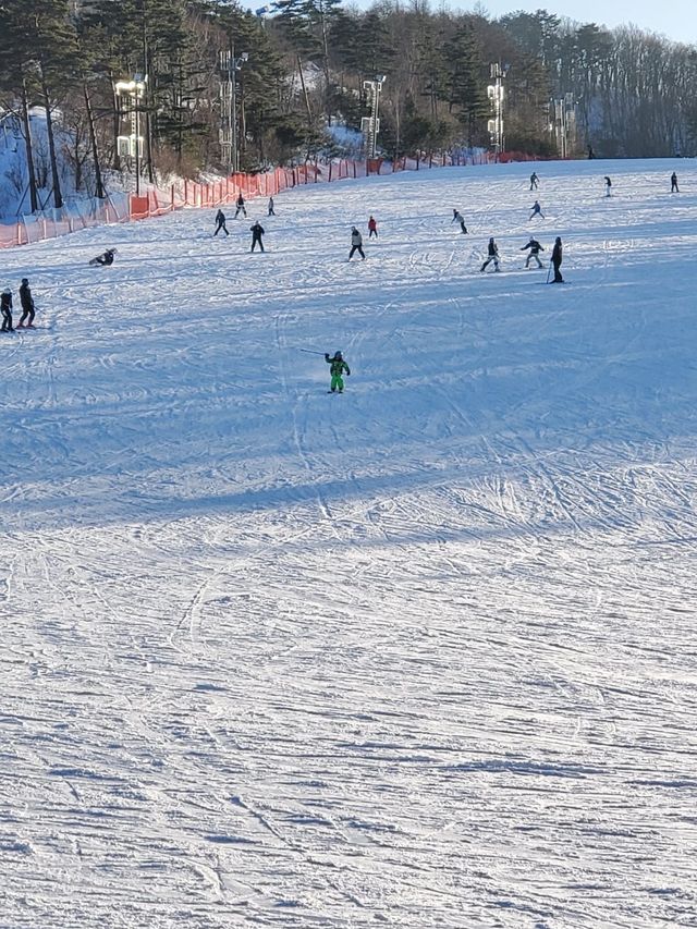 龍平滑雪場