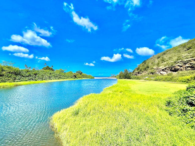 Waimea Bay Beach Park