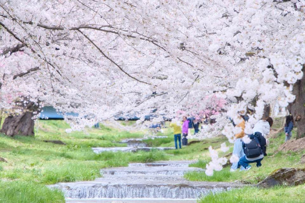 夢見る街並み〜春〜 シーグラス／天然石／フレームアート／ピンク／桜／風景 夢見る街並み〜春〜 シーグラス／天然石／フレームアート