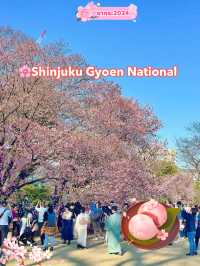 🌸Shinjuku Gyoen National Garden 