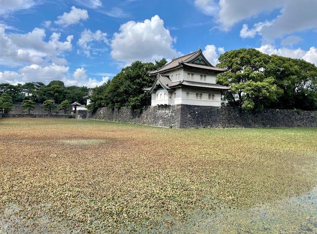 Kokyo Gaien National Garden 