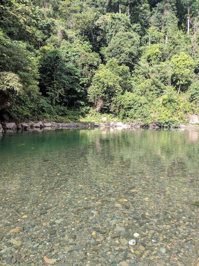 Bukit Lawang Ecotourism