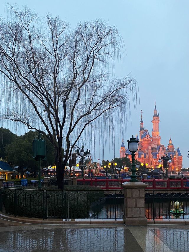 Raining in Disneyland is the best time😅