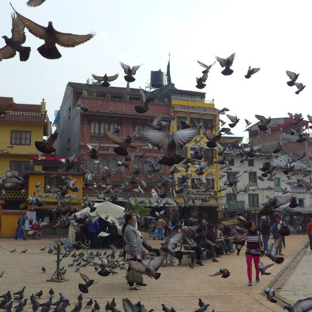 NAMASTE NEPAL ~ SWAYAMBHUNATH TEMPLE