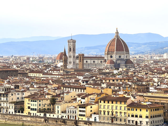 🌟A Panoramic Florence City View 