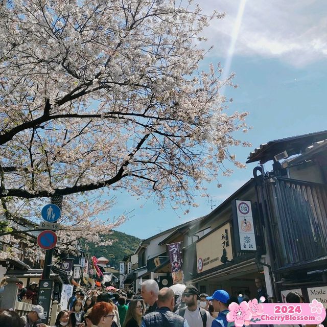 Solo Kyoto Trip 2024 -Kiyomizu-dera Temple