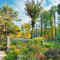 「東京景點：渋谷區互動植物園，適合全家人」