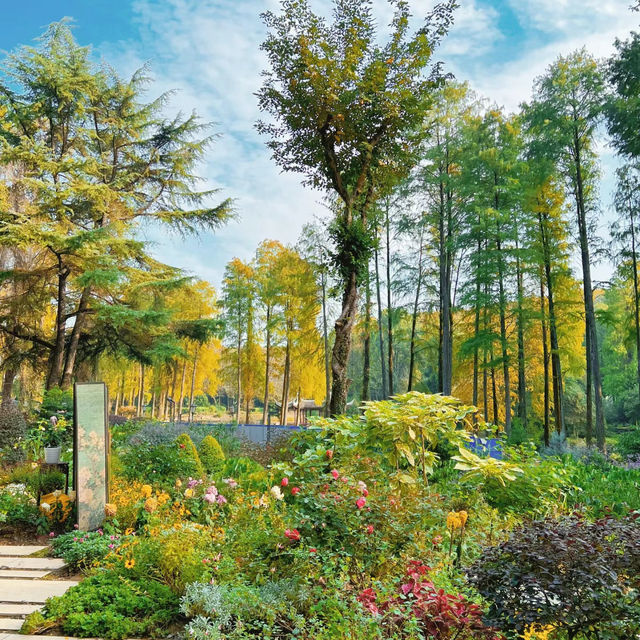 「東京景點：渋谷區互動植物園，適合全家人」