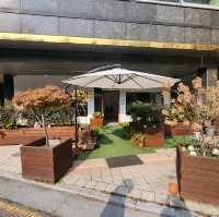 죽전 단국대 카페 추천 cafe168☺️
