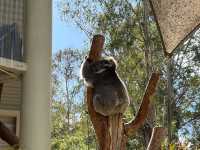 Tidbinbilla Nature Reserve