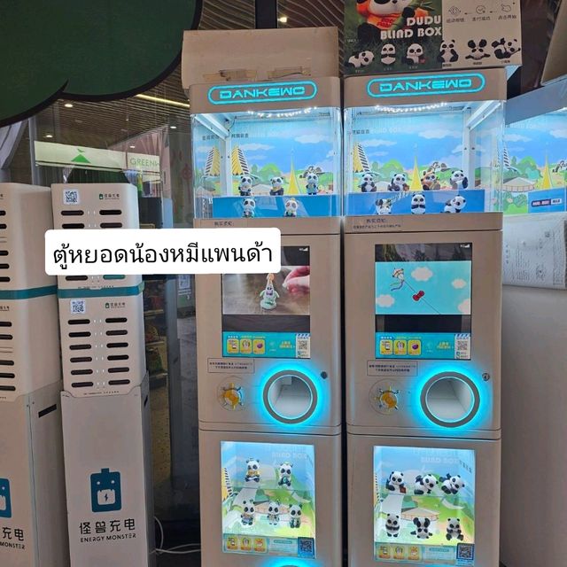 ฐานวิจัยหมีแพนด้ายักษ์ เฉิงตู {成都大熊貓繁育研} ฐานวิจัยหมีแพนด้ายักษ์ เฉิงตู {成都大熊貓繁育研}