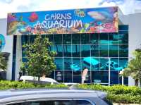 Cairns Aquarium