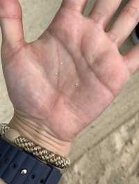 【竹富島】ゆったりした時間の離島で過ごすオススメスポット