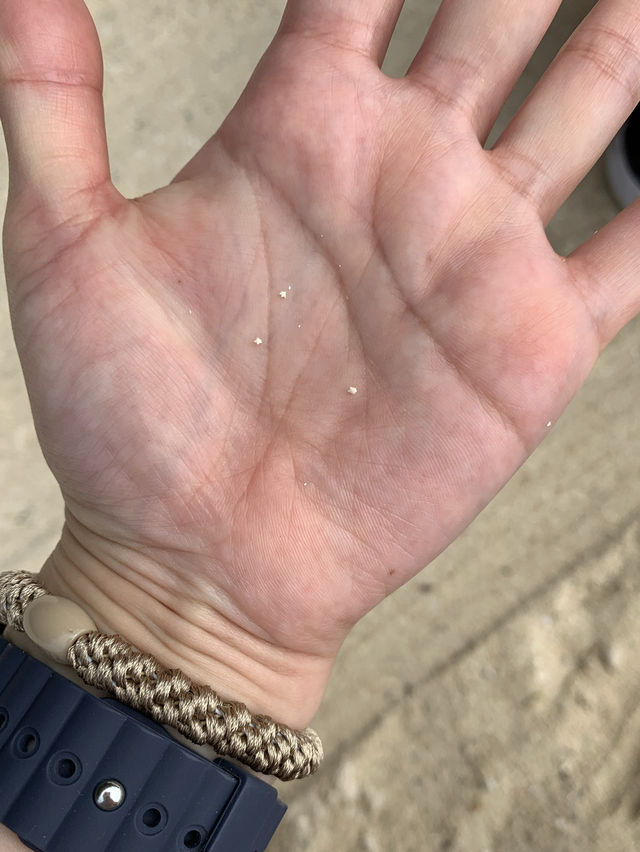 【竹富島】ゆったりした時間の離島で過ごすオススメスポット