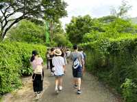 綠山野生動物園 超過300種動物的泰國大型動物園