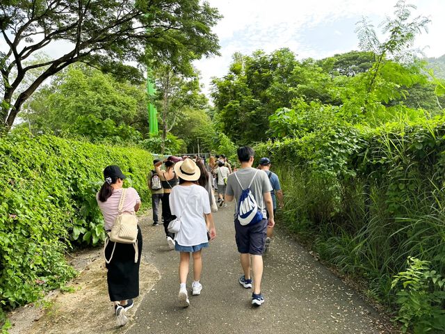 綠山野生動物園 超過300種動物的泰國大型動物園