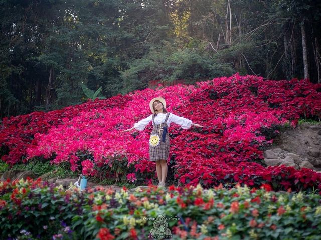 พาเที่ยวสวนละไม จ.ระยอง