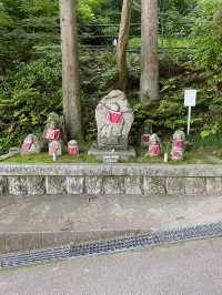 【京都】公式おすすめの絶景ポイント