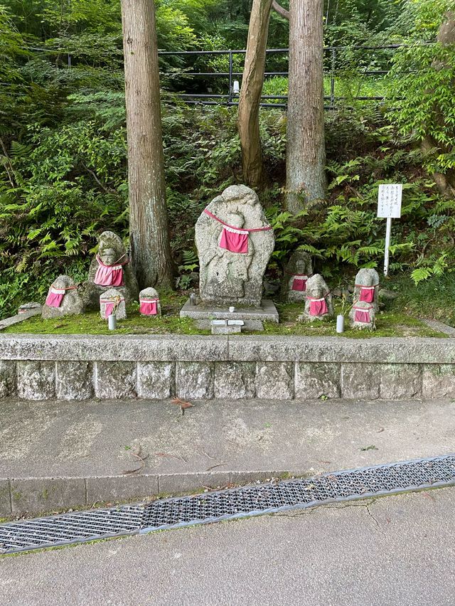 【京都】公式おすすめの絶景ポイント