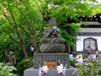 【東京近郊】‼️5月29日開始繡球花盛開見頃活動(2) ‼️ @鎌倉長谷寺，六月必遊景點！