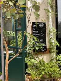 💚초신상 채광맛집 치앙마이 감성 카페 추천🌿