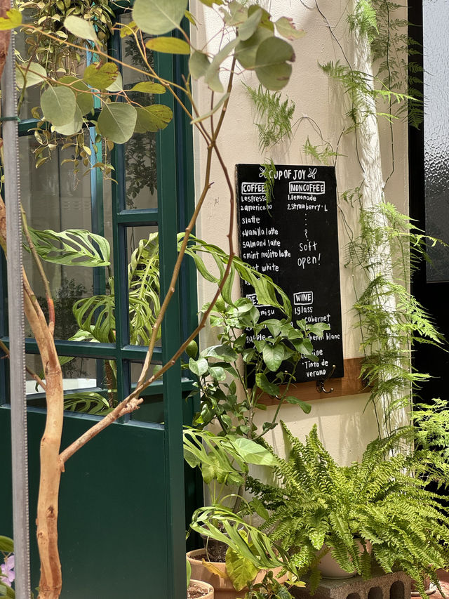 💚초신상 채광맛집 치앙마이 감성 카페 추천🌿