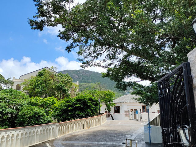 從回牛奶公司的足跡，感覺有點唏噓啊