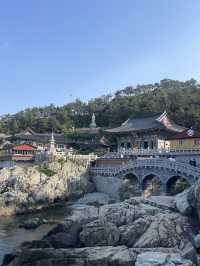부산 바다와 절을 함께 볼 수 있는 독특한 곳 해동용궁사