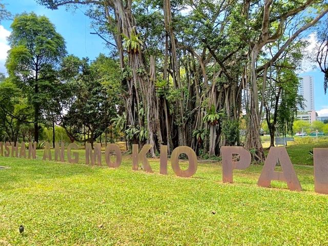 Bishan-Ang Mo Kio Park