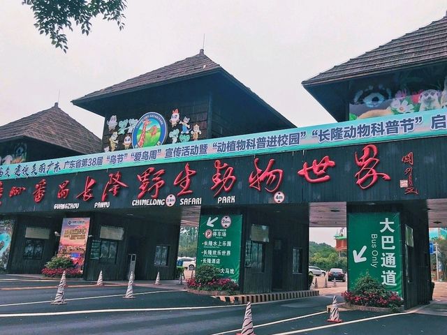 🏞️ Visit Chimelong Safari Park