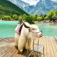 Mystical Serenity: My Enchanting Journey to Blue Moon Valley 