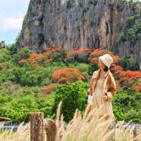 Wood House Cafe คาเฟ่ธรรมชาติ วิวเขาฉกรรจ์