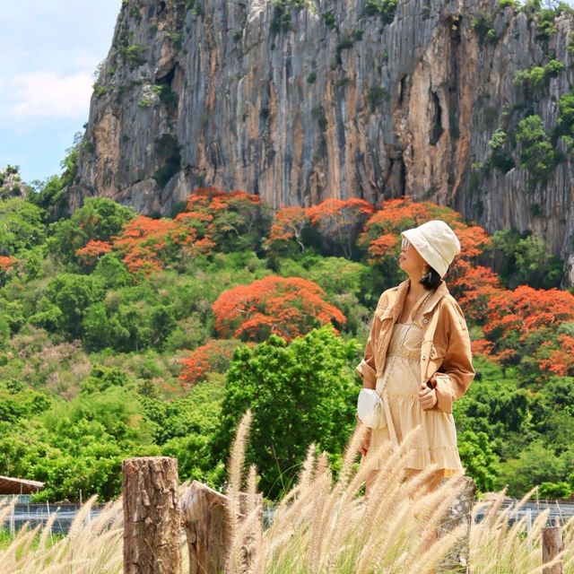 Wood House Cafe คาเฟ่ธรรมชาติ วิวเขาฉกรรจ์