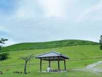 奈良旅遊首選の住宿！高CP值