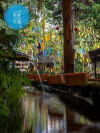 初日に行っちゃダメ『貴船神社』七夕笹飾りライトアップが開催中7/1~8/16まで🎋