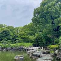 「百合之原公園」繽紛花海，心曠神怡