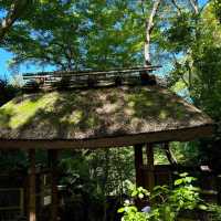 「光輪寺～綠意盎然，禪宗文化之旅」