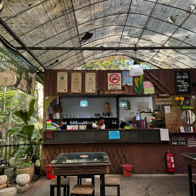 Kopi Hutan คาเฟ่ในป่าที่สูงที่สุดในปีนัง