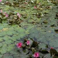 Top attractions in langkawi island 