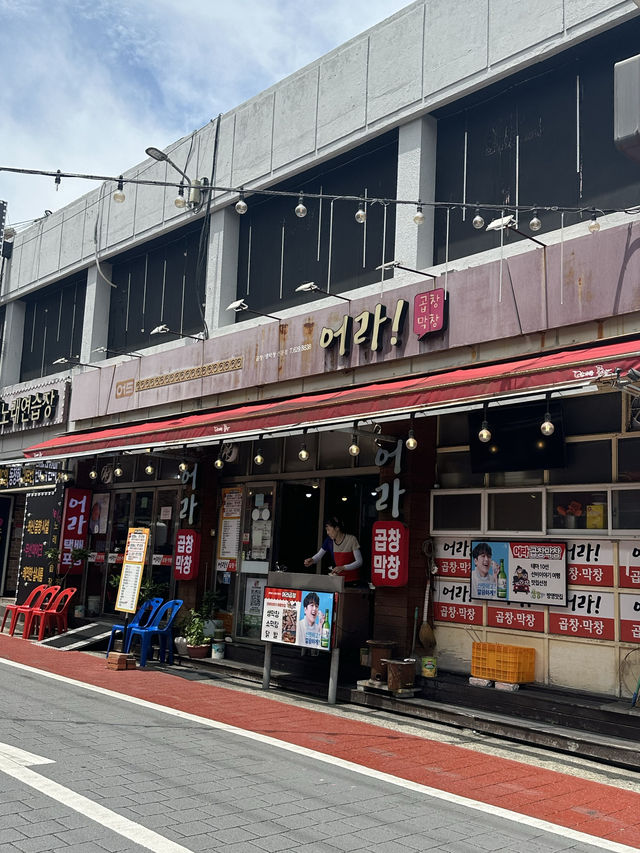 【韓国/大邱】大邱のホルモン通り！