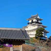 【静岡県】掛川城