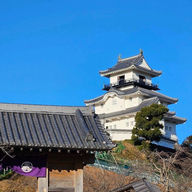 【静岡県】掛川城