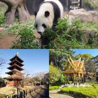 「東京上野動物園：古老動物園，適合家庭遊覽和學校教育」